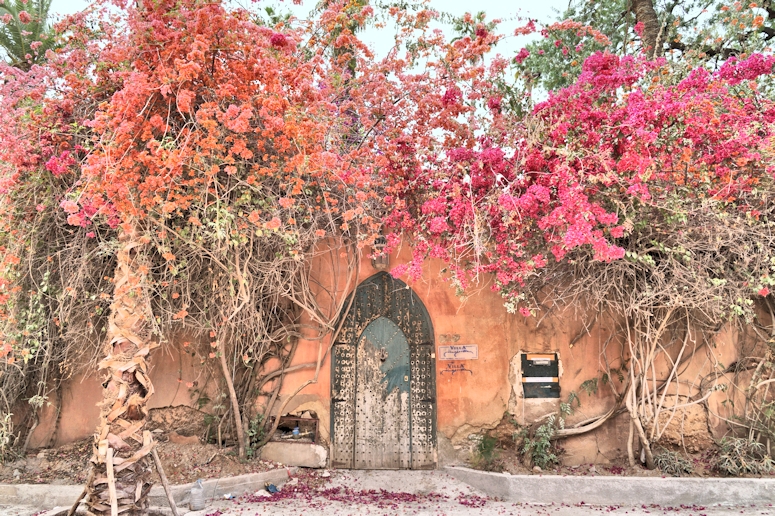 Street scene, Marrakesh
