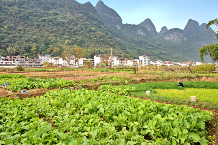 Country village near Yangshuo, China