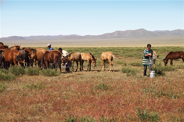 Mongolia_MiddleGobi_Ger_2213_m_600.jpg
