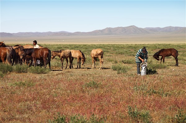 Mongolia_MiddleGobi_Ger_2214_m_600.jpg