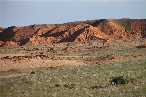 Mongolia_S_Gobi_FlamingC_Px11_2619_m_600.jpg