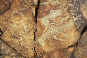 Mongolia_M_Gobi_RockEngravings_2798_m_600