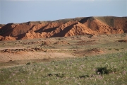 Mongolia_S_Gobi_FlamingC_Px11_2619_m_600