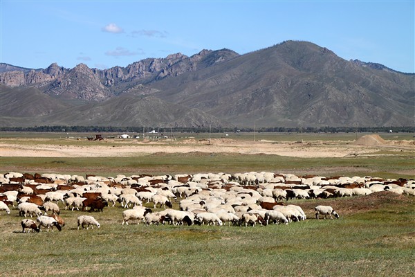 Mongolia_Countryside_2084_m_600.jpg