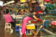 S_Korea_Seoul_FishMarket_3107_m_600px