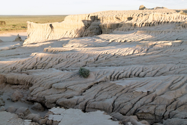P1020596_mungo.jpg