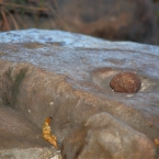 _800JabiruRock_5837_m