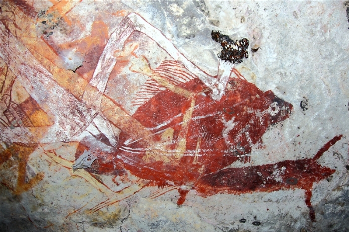 LeftHandBillabong_5927_m_800