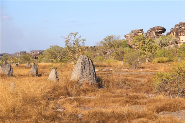 LeftHandBillabong_5968_m_800