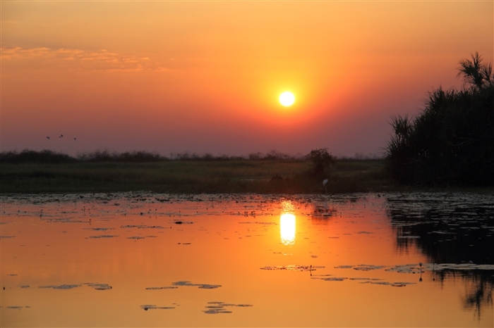 CoopersCreek_Sunset_6162_m_800