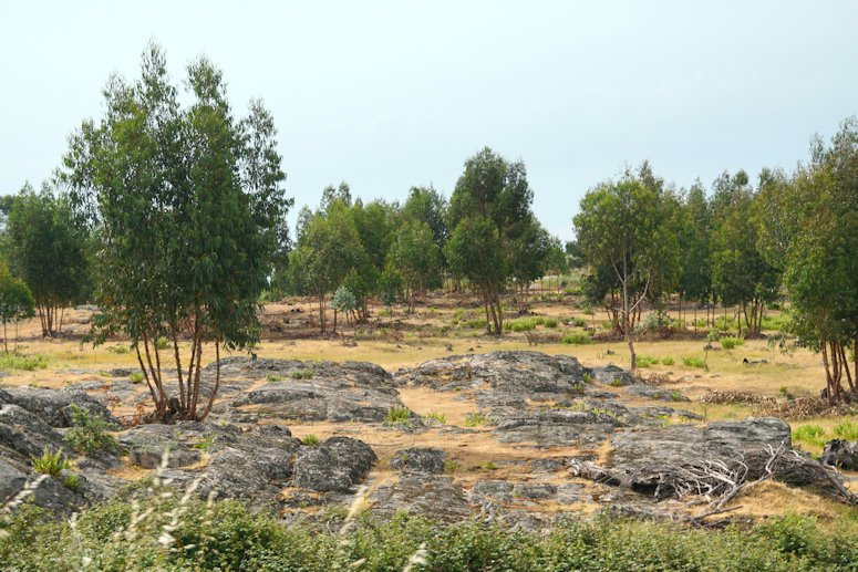 Guarda To Evora, Portugal