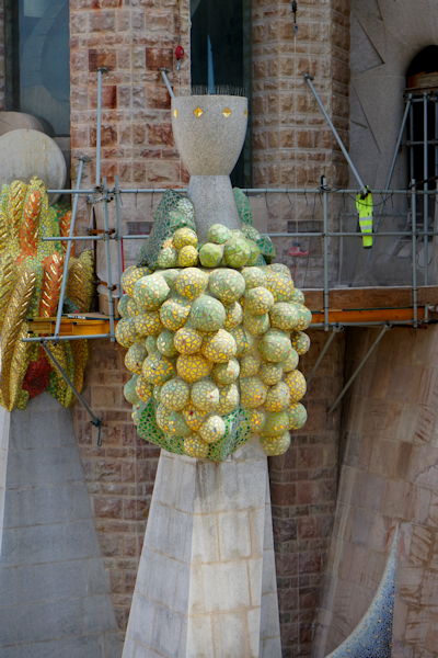 &nbsp;&nbsp;&nbsp;&nbsp;