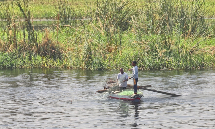 Along the Nile - fishing, Egypt