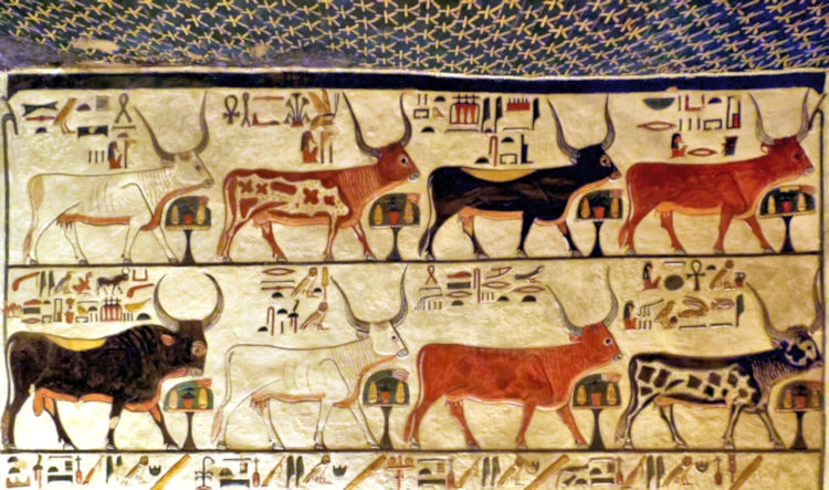 Tomb of Nefetari, Valley of the Queens