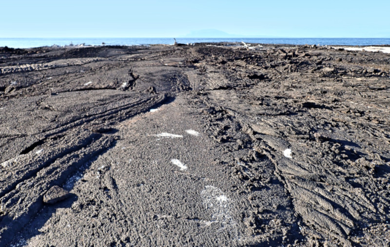 Fernandina Island, Galapagos
