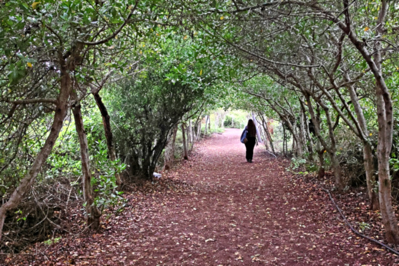 Charles Darwin Research Center, Santa Cruz Island, Galapagos Islands