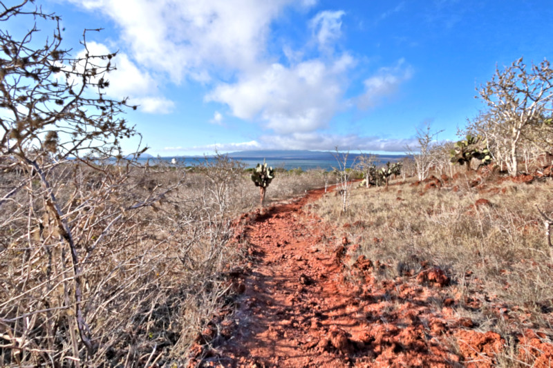 Rabida Island, Galapagos